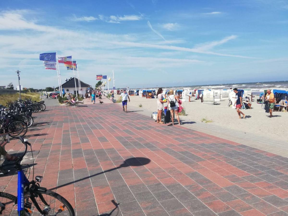 Wohnung Nixe Mit Meerblick - Haus Hopp Dahme  Eksteriør bilde